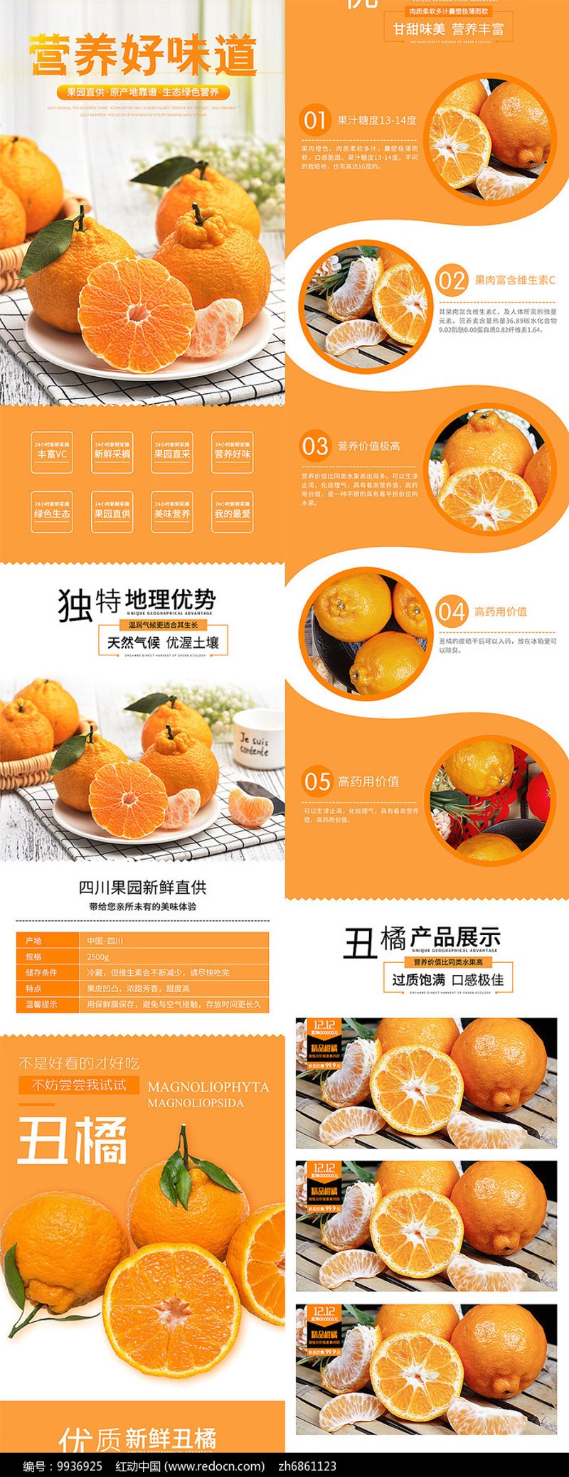 品味来自大地的鲜甜——探索橘子产地直供的魅力