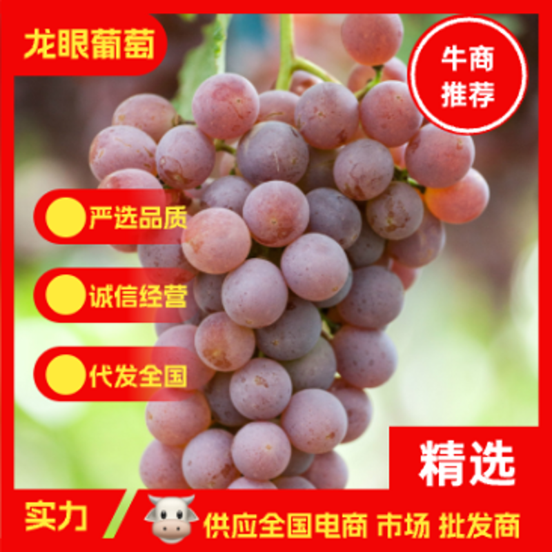 新沂橘子批发：温暖的季节里的甜蜜选择